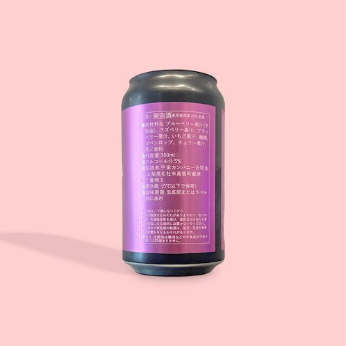 うちゅうブルーイング / GEISHA / スムージーサワーエール / 5% / 山梨